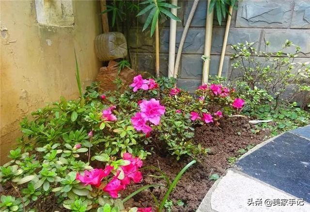 退休後不忘夢想！她用6年親手「打造夢境花園」 鄰居「酸做白工」一看嚇傻：冬天雪景春天花開美翻