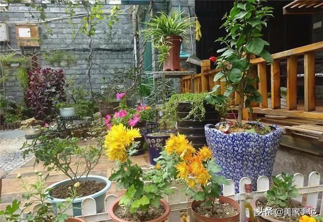 退休後不忘夢想！她用6年親手「打造夢境花園」 鄰居「酸做白工」一看嚇傻：冬天雪景春天花開美翻