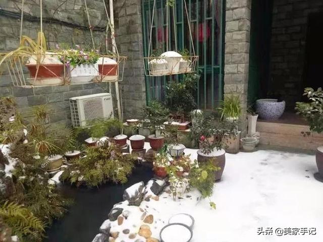 退休後不忘夢想！她用6年親手「打造夢境花園」 鄰居「酸做白工」一看嚇傻：冬天雪景春天花開美翻