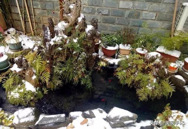 退休後不忘夢想！她用6年親手「打造夢境花園」 鄰居「酸做白工」一看嚇傻：冬天雪景春天花開美翻