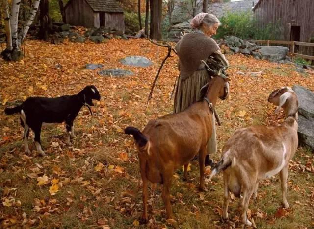 92歲活成仙女模樣!她57歲隱居山林「沒電沒自來水」 荒野生活「卻像美麗油畫」一生瀟灑人人羨