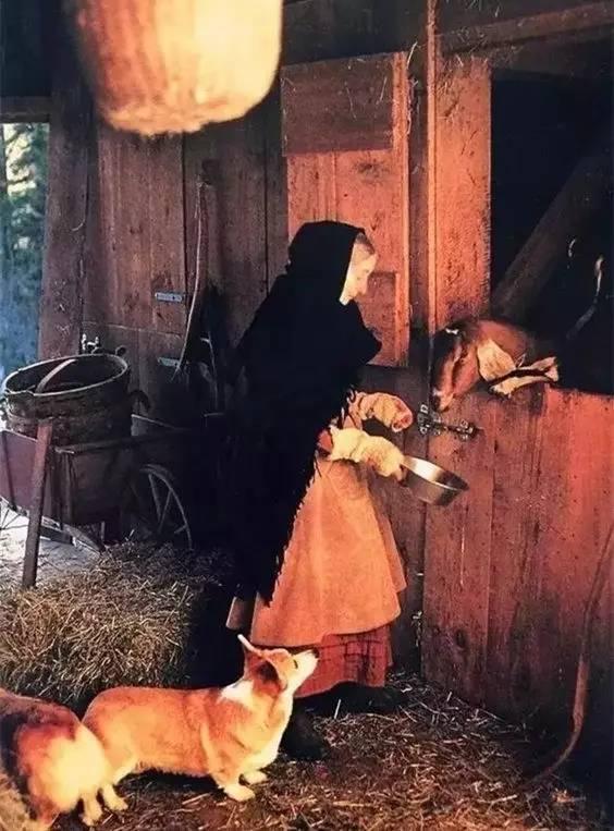 92歲活成仙女模樣!她57歲隱居山林「沒電沒自來水」 荒野生活「卻像美麗油畫」一生瀟灑人人羨