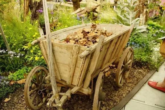 92歲活成仙女模樣!她57歲隱居山林「沒電沒自來水」 荒野生活「卻像美麗油畫」一生瀟灑人人羨