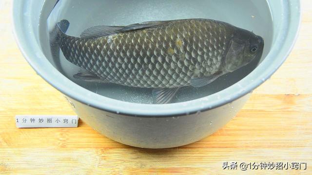 不用任何工具，一個塑料袋就把魚鱗徹底刮乾凈，又快又好！超實用！