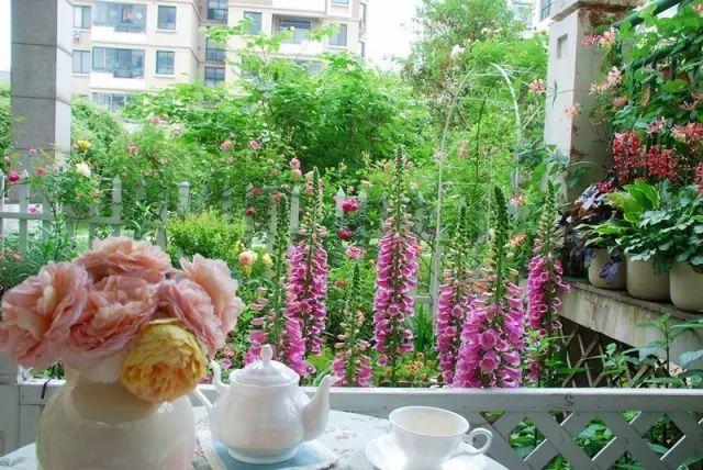 她花10年「打理60㎡花園」！從無到有「美成人間仙境」  活像仙女人人羨：滋養花也滋養自己