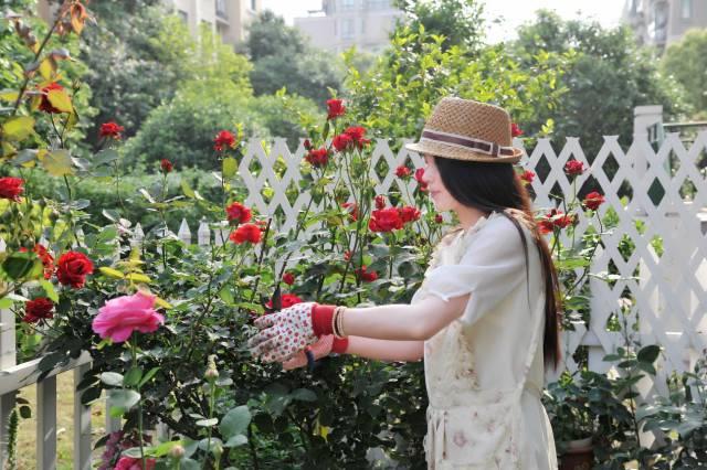 她花10年「打理60㎡花園」！從無到有「美成人間仙境」  活像仙女人人羨：滋養花也滋養自己