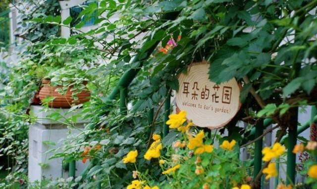 她花10年「打理60㎡花園」！從無到有「美成人間仙境」  活像仙女人人羨：滋養花也滋養自己