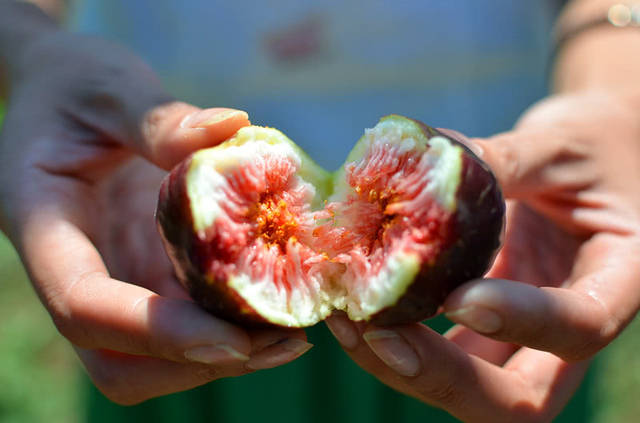 月經量越來越少？常吃這4種「零食」，子宮更乾淨，遠離婦科病！