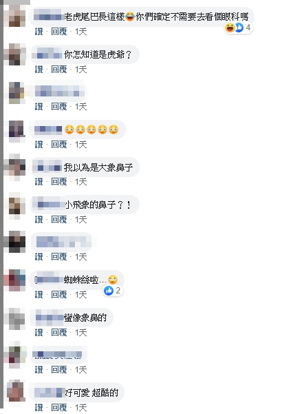 虎爺好調皮！趁家人不在「顯靈在空中飛舞」　玩耍2分鐘「全被監視器拍下」網友驚：尾巴太療癒