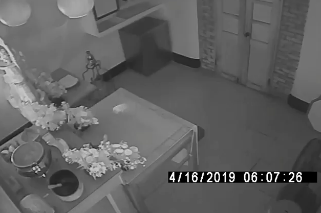 虎爺好調皮！趁家人不在「顯靈在空中飛舞」　玩耍2分鐘「全被監視器拍下」網友驚：尾巴太療癒