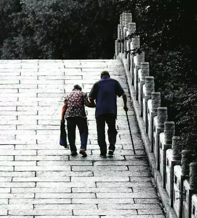 電話一掛是永別！上班接到母來電「陪我一下」她不耐煩掛掉  　事後「回撥再無人聽」網淚崩：來不及了