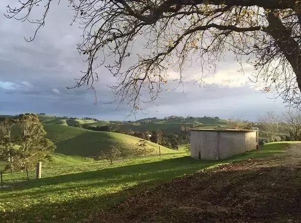 她13年前花光積蓄「買下700畝地」被笑瘋狂！如今「荒地→世外桃源」人人羨：花草為鄰人間仙境