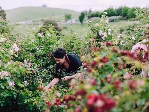 她13年前花光積蓄「買下700畝地」被笑瘋狂！如今「荒地→世外桃源」人人羨：花草為鄰人間仙境