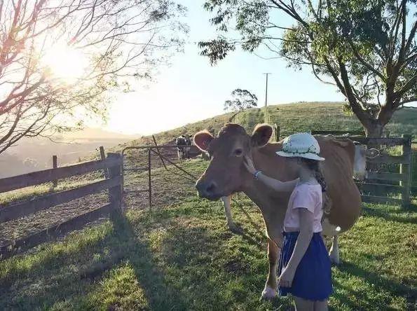 她13年前花光積蓄「買下700畝地」被笑瘋狂！如今「荒地→世外桃源」人人羨：花草為鄰人間仙境