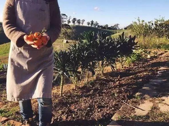 她13年前花光積蓄「買下700畝地」被笑瘋狂！如今「荒地→世外桃源」人人羨：花草為鄰人間仙境