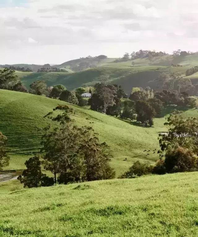 她13年前花光積蓄「買下700畝地」被笑瘋狂！如今「荒地→世外桃源」人人羨：花草為鄰人間仙境