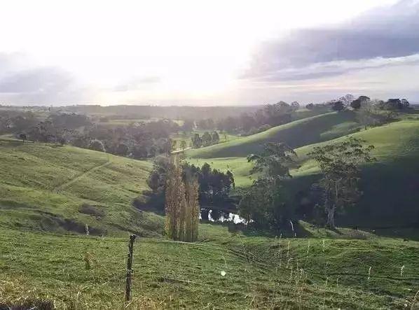 她13年前花光積蓄「買下700畝地」被笑瘋狂！如今「荒地→世外桃源」人人羨：花草為鄰人間仙境