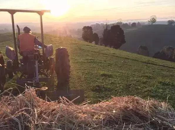 她13年前花光積蓄「買下700畝地」被笑瘋狂！如今「荒地→世外桃源」人人羨：花草為鄰人間仙境