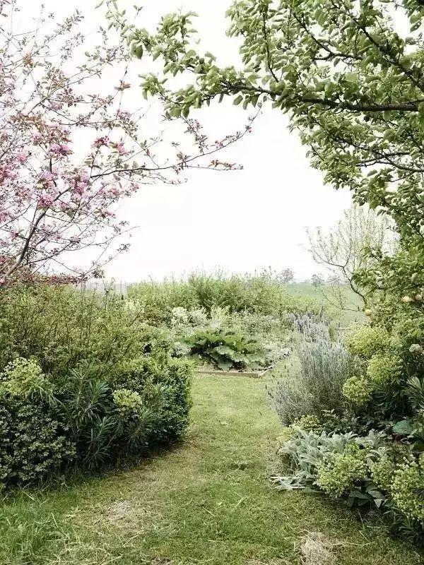 她13年前花光積蓄「買下700畝地」被笑瘋狂！如今「荒地→世外桃源」人人羨：花草為鄰人間仙境