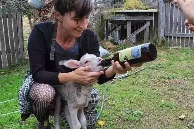 她13年前花光積蓄「買下700畝地」被笑瘋狂！如今「荒地→世外桃源」人人羨：花草為鄰人間仙境