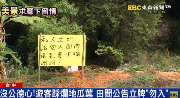 貼告示也沒用！85歲老夫婦「花5年種出綠色瀑布」就怕土石流　萬人朝聖打卡「作物全被踩壞」