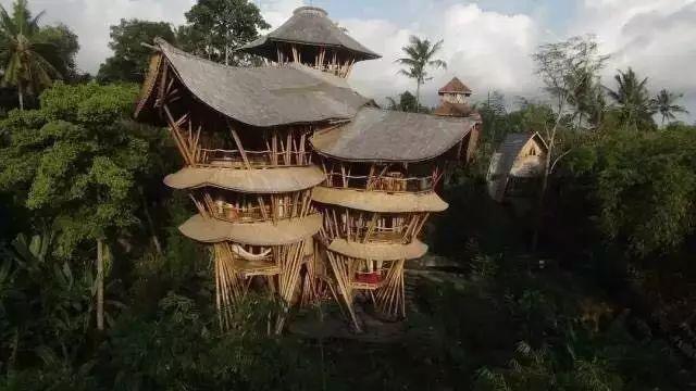 用竹子「建立人間仙境」！引來「全世界40多個國家」圍觀  網讚：一生必去