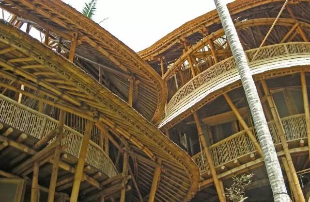 用竹子「建立人間仙境」！引來「全世界40多個國家」圍觀  網讚：一生必去