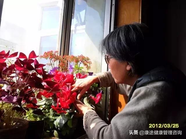 曾被宣判時間不多！73歲老奶奶患重症26年「專注養花種草」　病痛不敢動她「越活越年輕」