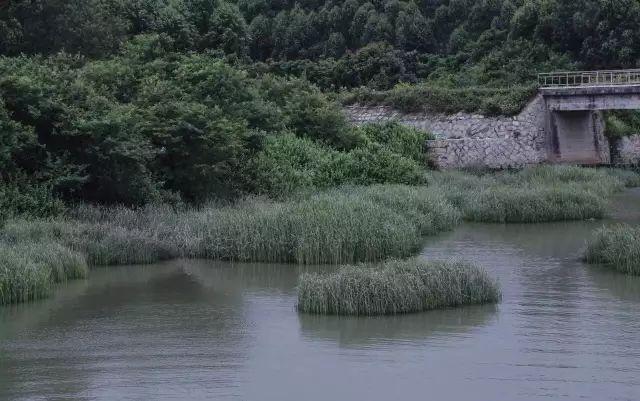 不嫁豪門「為愛隱居山林」！ 與丈夫親手造房「內部超夢幻」 　「一家三口與世隔絕」如人間天堂