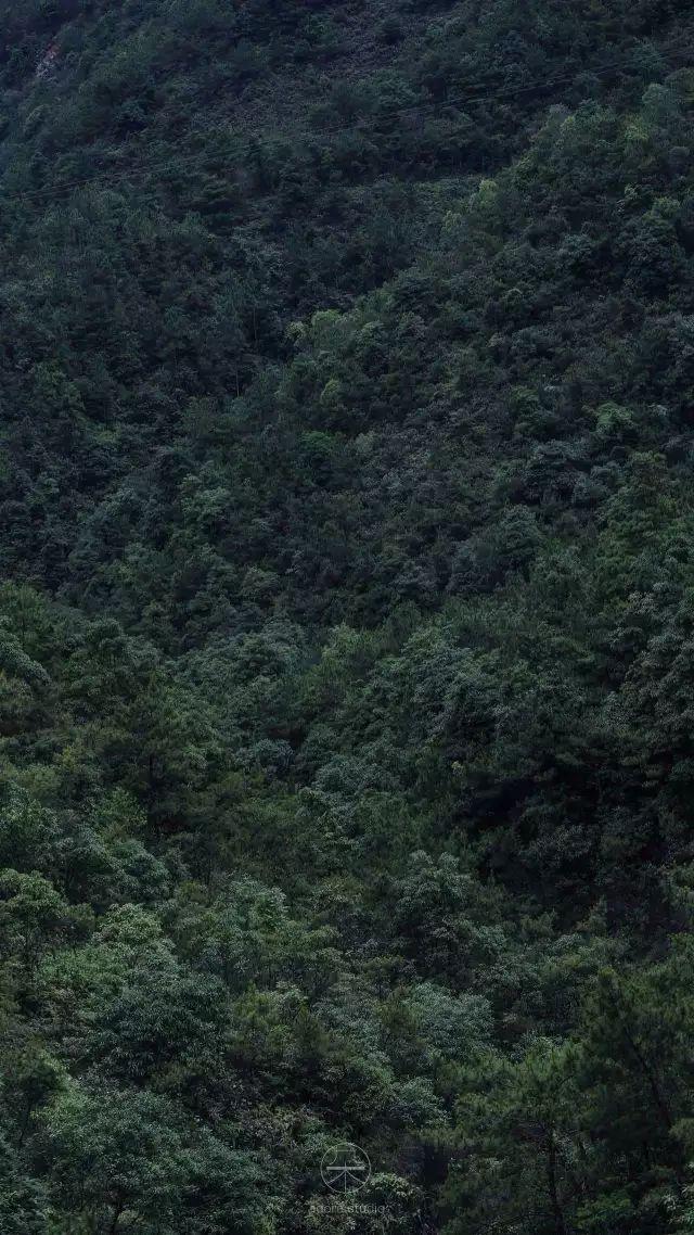 不嫁豪門「為愛隱居山林」！ 與丈夫親手造房「內部超夢幻」 　「一家三口與世隔絕」如人間天堂