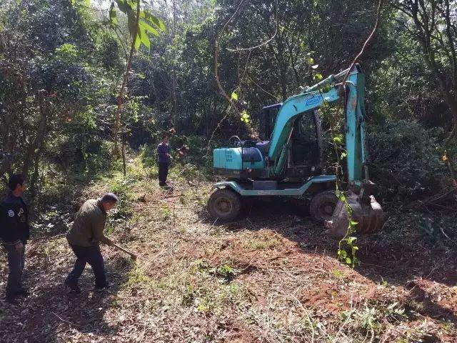 不嫁豪門「為愛隱居山林」！ 與丈夫親手造房「內部超夢幻」 　「一家三口與世隔絕」如人間天堂