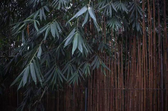不嫁豪門「為愛隱居山林」！ 與丈夫親手造房「內部超夢幻」 　「一家三口與世隔絕」如人間天堂
