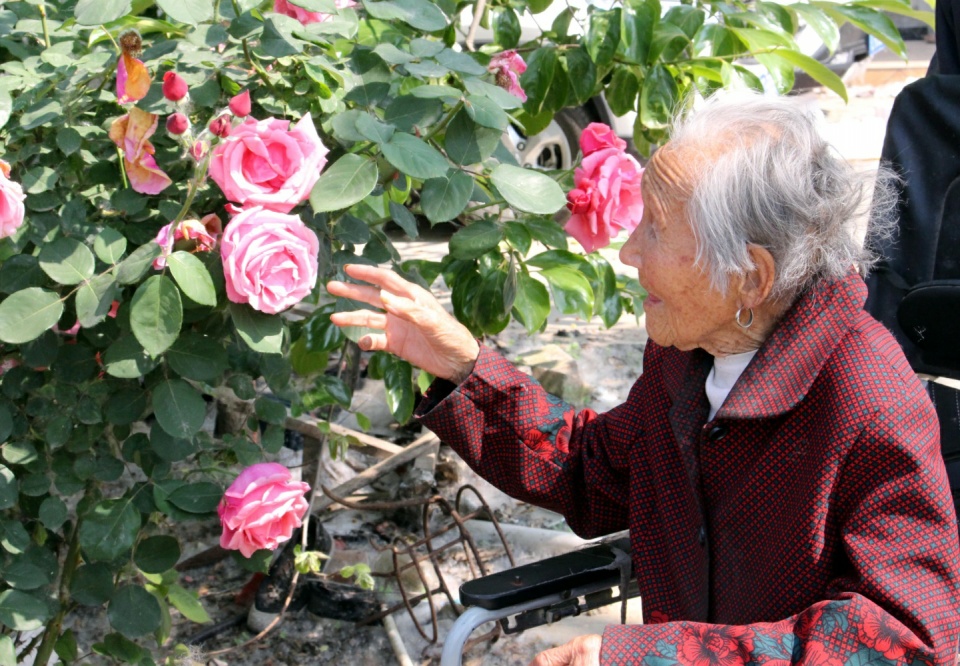 父母面前我們永遠是孩子！79歲老人「替110歲老母親過節」她感動流淚…孝兒暖安慰「有妳才是我福氣」