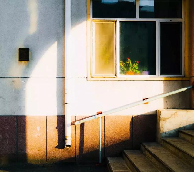 64歲林青霞素顏曝！「穿著樸素」狀態和中年婦女無異：要優雅老去，而非假裝年輕地活著