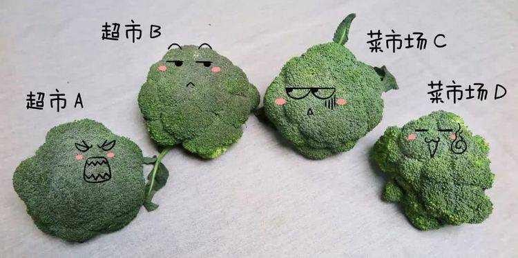 1朵花椰菜10條蟲？花椰菜竟成了葷菜？教你清洗妙招「髒東西  小蟲子」洗得乾乾淨淨