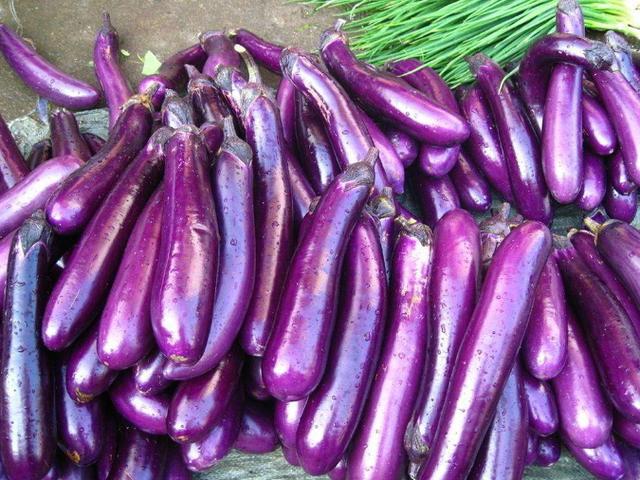 買茄子時要選「直的還是彎的」？菜農透露「小秘訣」非常實用