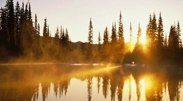 年輕人都羨慕！四對夫妻「花25萬造房同居」  一起養老「神仙生活」爽退休