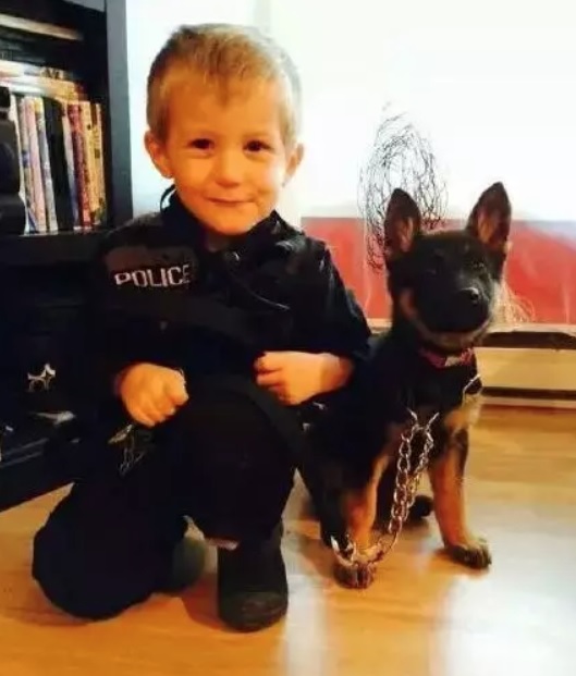 菜鳥警犬來報到！只會「歪頭賣萌」狀況外　一臉問號握手手：請多指教喔～