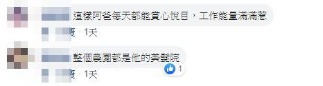 玉米田是我的美髮院！美髮科學生「把玉米鬚編成各種髮型」　巧手一編「甜美公主頭」被讚：髮色超美