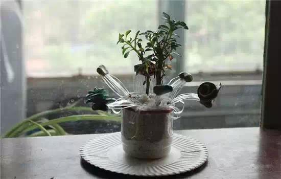 洗碗精用完了瓶子千萬不要扔！改造一下「剪一剪」鄰居直誇太實用，不用再花錢去買了