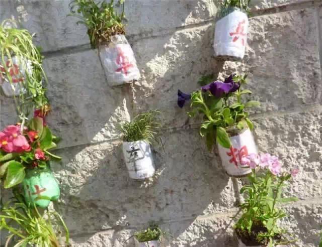 洗碗精用完了瓶子千萬不要扔！改造一下「剪一剪」鄰居直誇太實用，不用再花錢去買了