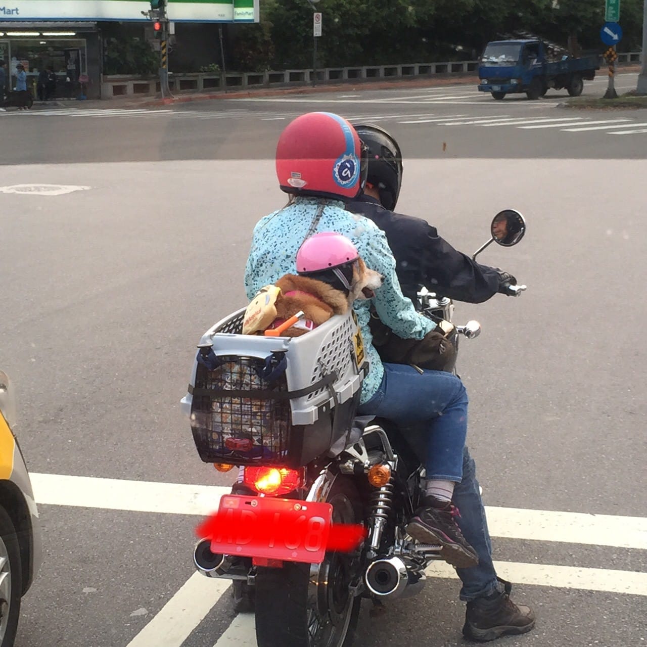 考眼力？他騎車驚見「雙載長髮妹」怪怪的　仔細一看「江湖傳說成真」1.5萬人笑翻：第一眼沒發現