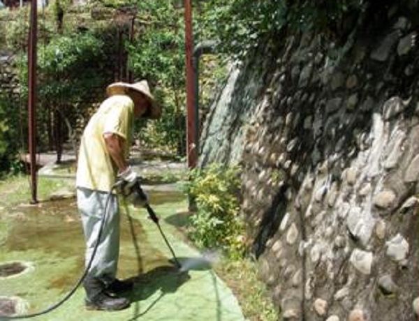 比蚊子還難纏！4招「徹底杜絕小黑蚊」不怕被叮上　達人DIY「免花錢神器」9成蚊蟲全GG