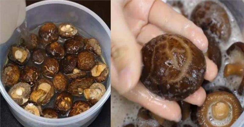 「泡發香菇」10個人9人都錯了！飯店廚師長用此方法「三分鐘全泡開」一招搞定