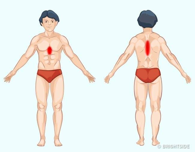 健康常識：9張圖解讓你秒懂「身體部位會疼痛的原因」　現在就找出問題「瞭解身體不適的原因」