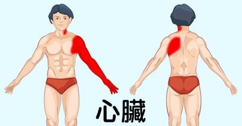 健康常識：9張圖解讓你秒懂「身體部位會疼痛的原因」　現在就找出問題「瞭解身體不適的原因」