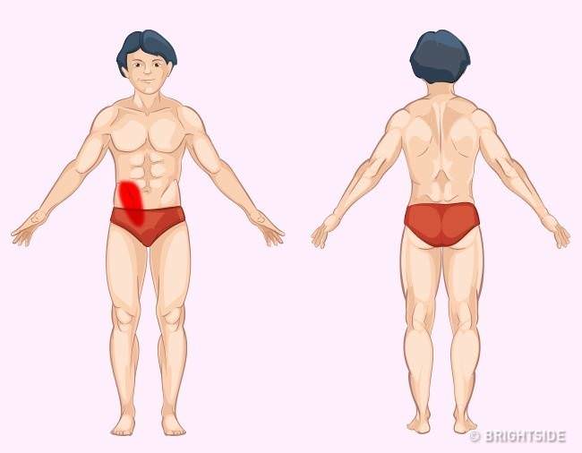 健康常識：9張圖解讓你秒懂「身體部位會疼痛的原因」　現在就找出問題「瞭解身體不適的原因」