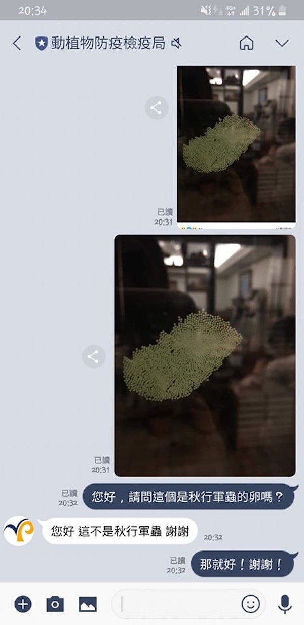 密集到起雞母皮！淡水住家窗戶「發現上百顆蟲卵」憂問：到底是什麼　網友急喊「別用手碰阿」
