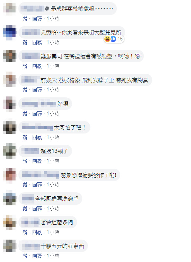密集到起雞母皮！淡水住家窗戶「發現上百顆蟲卵」憂問：到底是什麼　網友急喊「別用手碰阿」
