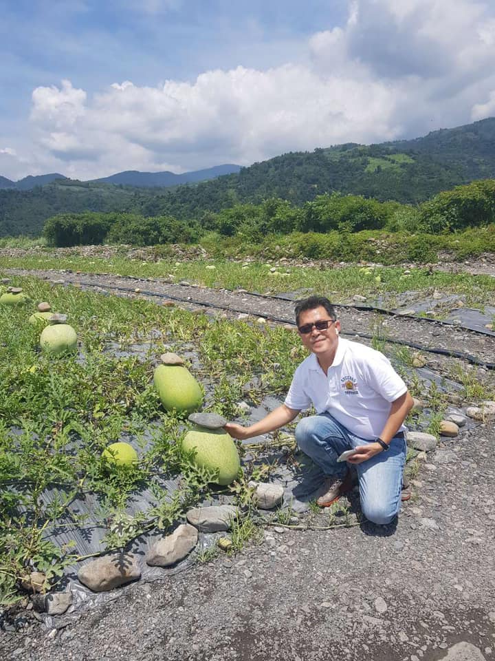 西瓜上壓石頭！網友不解問「是怕它跑掉嗎」被笑翻　果農揭「放的位置也有差」影響超大